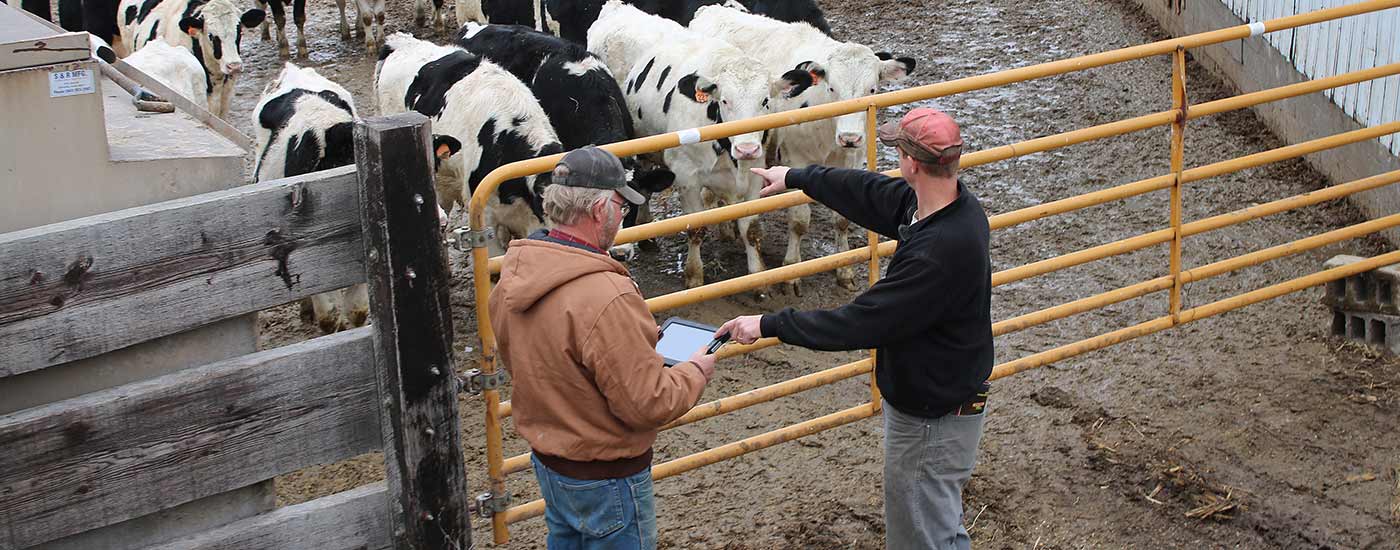 Two farmers use a tablet on a farm